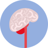 Cartoon brain icon